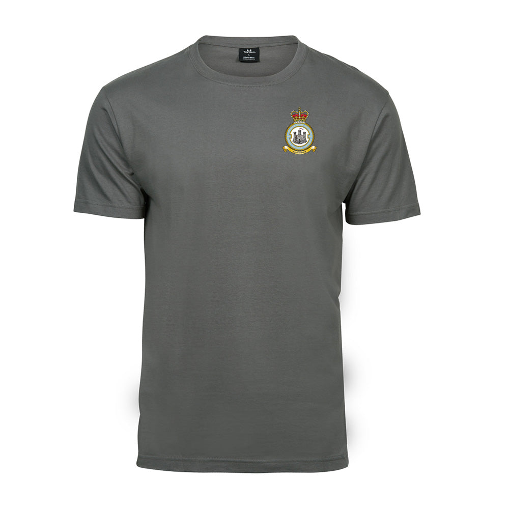 Sikker sand Intensiv RAF Auxiliary 603 Squadron T-Shirt Powder Grey – Teamwear Made Easy